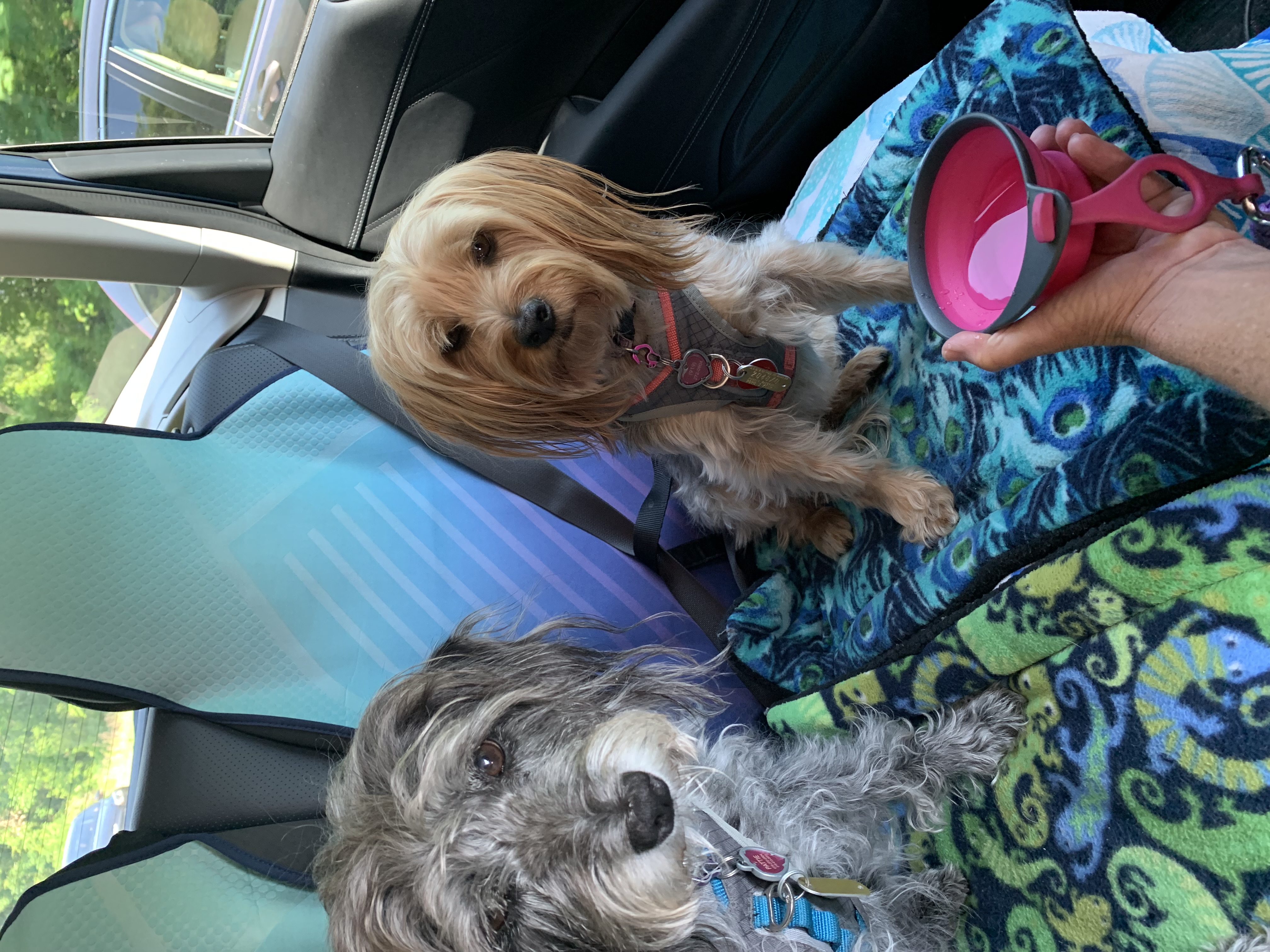 ./2022/06 - St Louis/01 - Day 1/20220521-163911.JPG